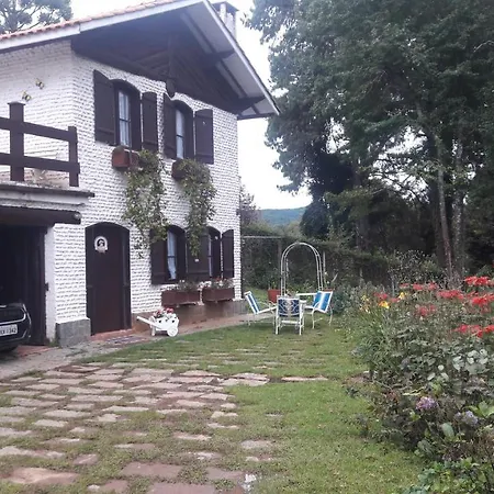 Chalé pinheiro velho-2